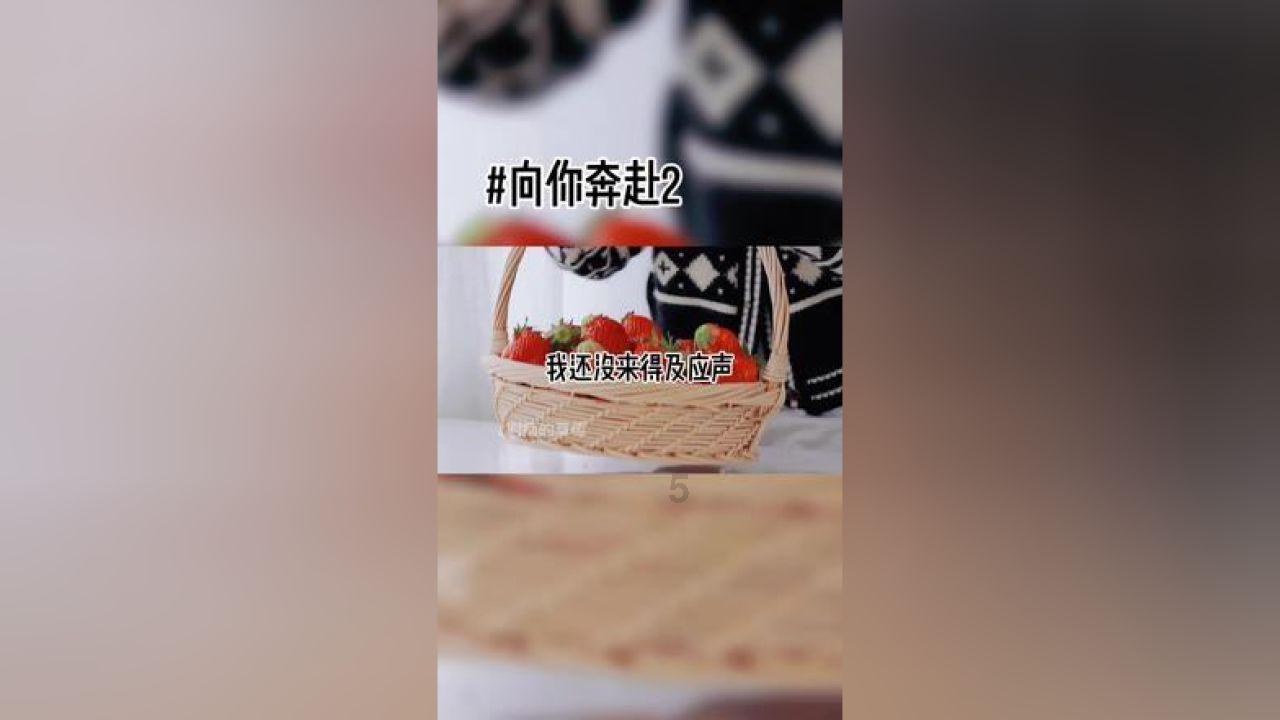 万词王