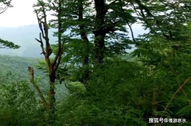 辽宁葫芦岛市总工会举办设计大赛助力当地校服产业转型升级