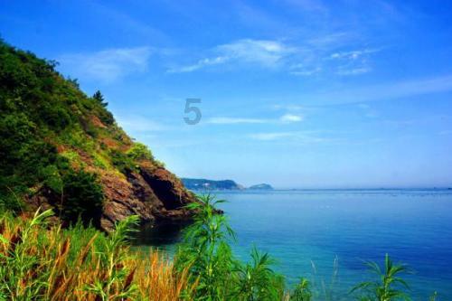 莫斯科强烈谴基辅击落伊尔-76事件并称之为恐袭