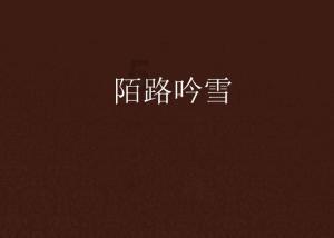 蓝狐视频