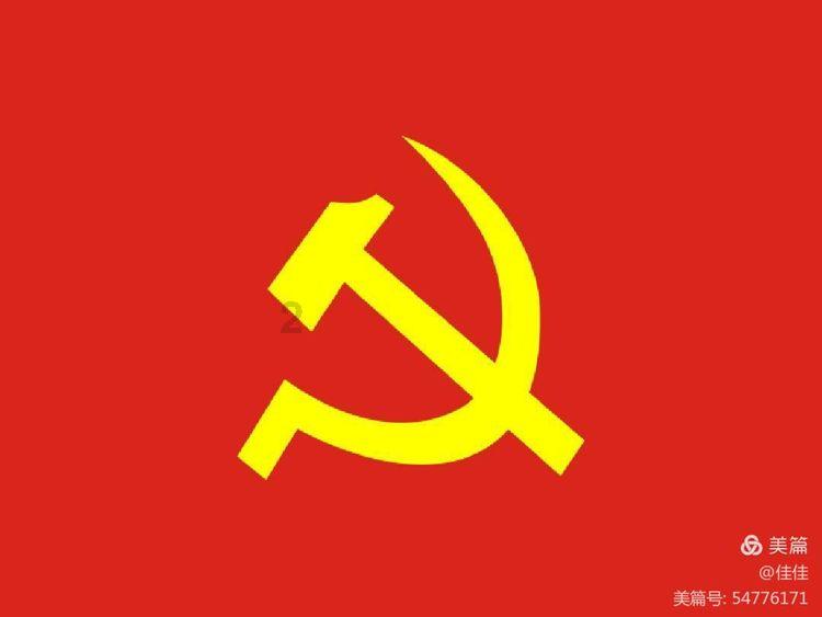 大白猫逃脱