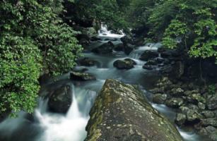 31岁青年心跳骤停，北京积水潭医院重症医学科ECMO团队成功救治