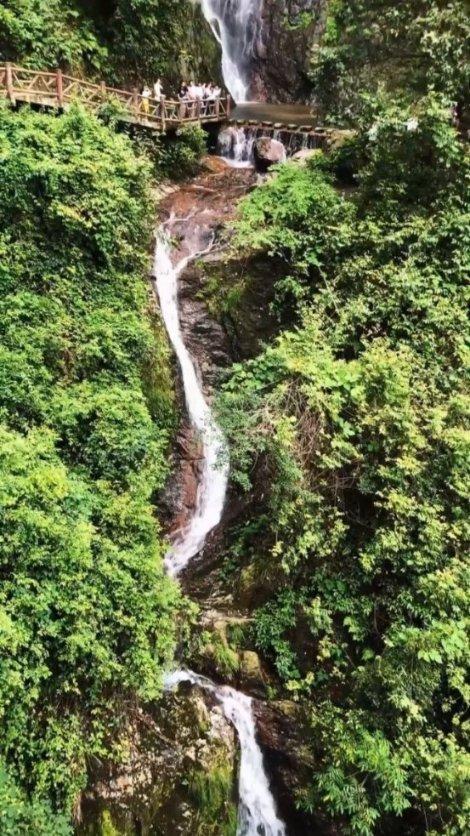 速算小天才