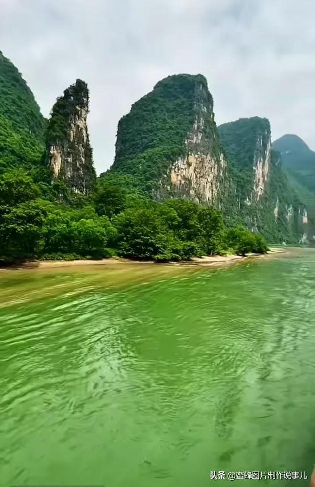 淮阳区委书记张建党调研工业项目建设和农业产业发展工作