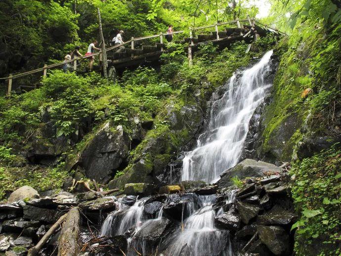 九寨沟规范旅游市场药械化经营秩序