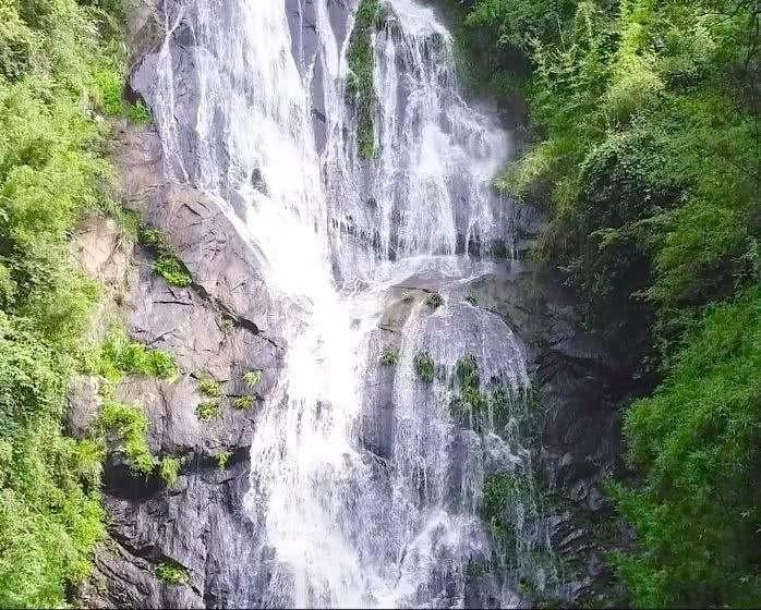 快刺水果