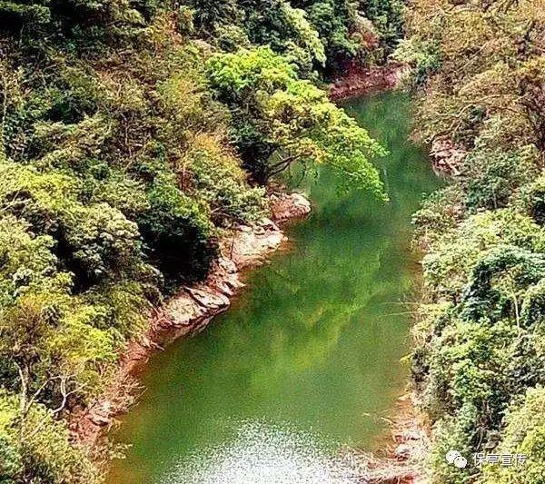 夏日的婚礼