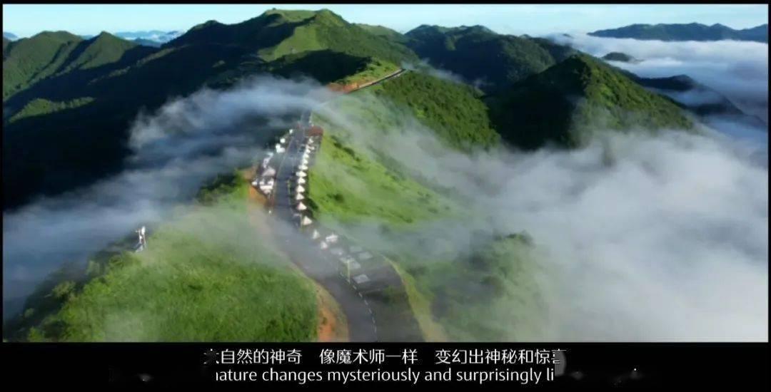 警察战僵尸无敌版