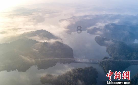 段奕宏和张译为什么不合作了啊?游戏画面